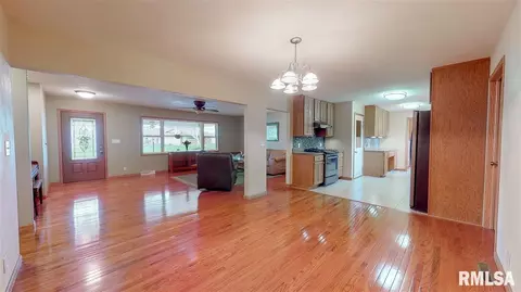 104 Pieper Cir, Delavan, IL 61734 photo 21