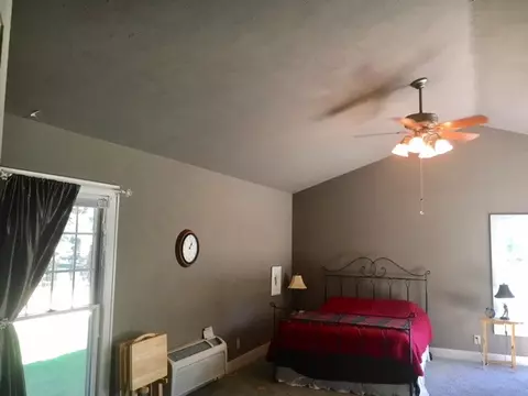 408 N Walnut St, Delavan, IL 61734 photo 19