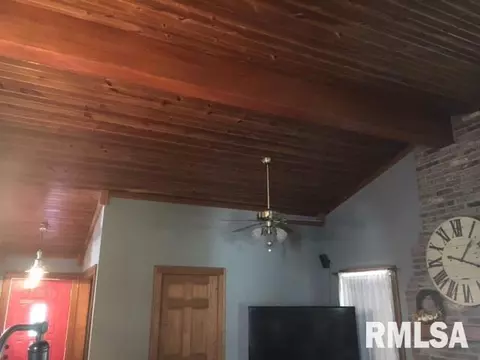 408 N Walnut St, Delavan, IL 61734 photo 17