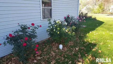 308 E Summit St, Macomb, IL 61455 photo 3