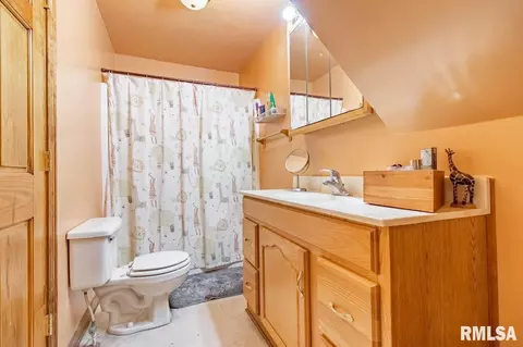 311 E 4th St, Delavan, IL 61734 photo 19