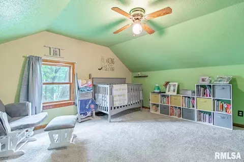 311 E 4th St, Delavan, IL 61734 photo 24