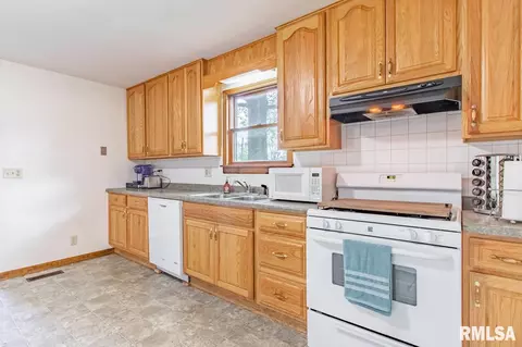 311 E 4th St, Delavan, IL 61734 photo 11