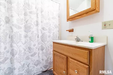 311 E 4th St, Delavan, IL 61734 photo 26