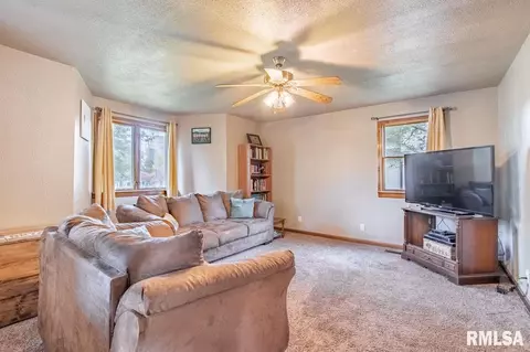 311 E 4th St, Delavan, IL 61734 photo 7