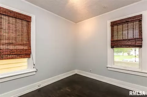 1100 E Willcox Ave, Peoria, IL 61605 photo 15