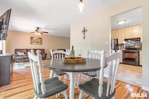 6805 W Lamarsh Dr, Mapleton, IL 61547 photo 11