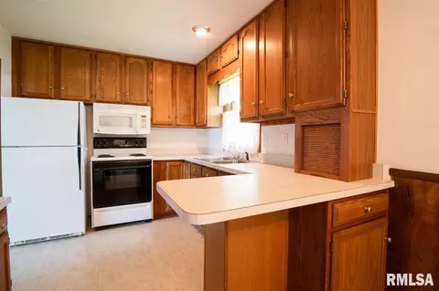 903 E Madison St, Metamora, IL 61548 photo 13