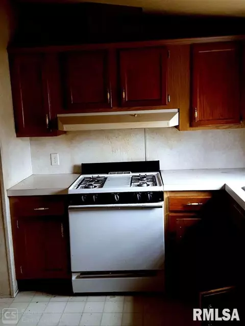 181 N Olive St, Bath, IL 62617 photo 2