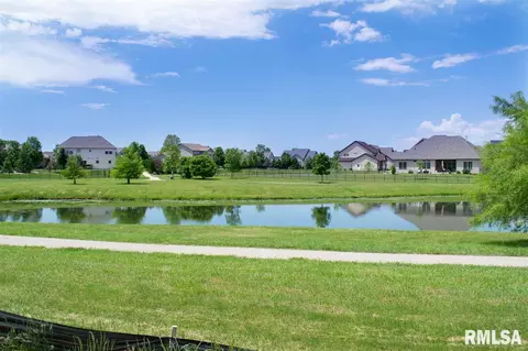 11201 N Greenview Ln, Dunlap, IL 61525 photo 29