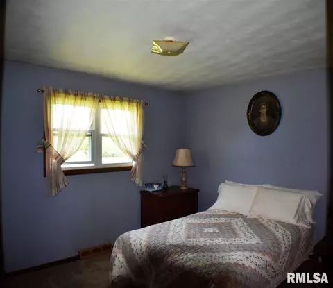 15420 E Geronimo Dr, Cuba, IL 61427 photo 12