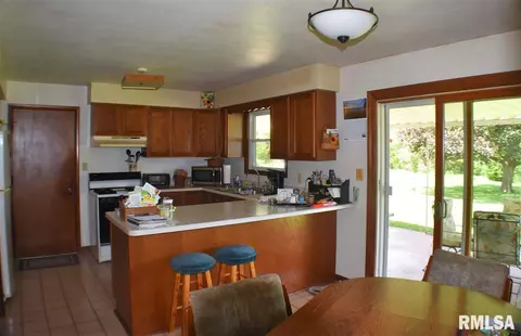 15420 E Geronimo Dr, Cuba, IL 61427 photo 7