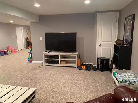 403 Spring Ct, Washington, IL 61571 photo 21