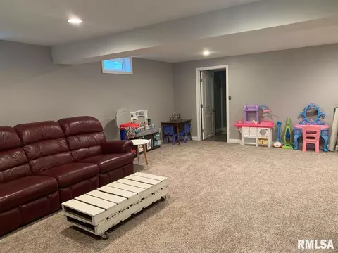 403 Spring Ct, Washington, IL 61571 photo 20