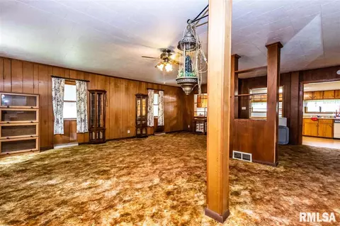 507 E 3rd St, Delavan, IL 61734 photo 4