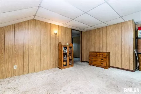 507 E 3rd St, Delavan, IL 61734 photo 20