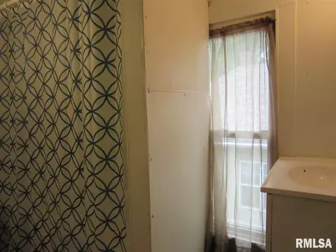 266 E Olive St, Canton, IL 61520 photo 9