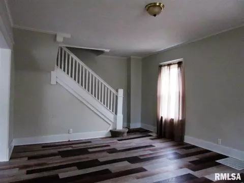 266 E Olive St, Canton, IL 61520 photo 5