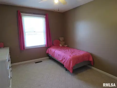 504 S Henry St, Eureka, IL 61530 photo 25