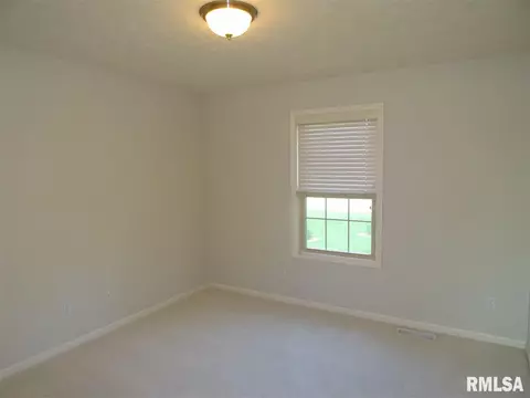 10904 N Crestpointe Ln, Dunlap, IL 61525 photo 18