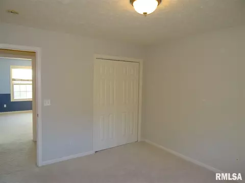 10904 N Crestpointe Ln, Dunlap, IL 61525 photo 19