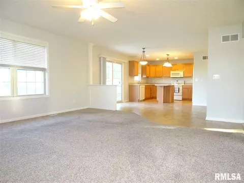 10904 N Crestpointe Ln, Dunlap, IL 61525 photo 11
