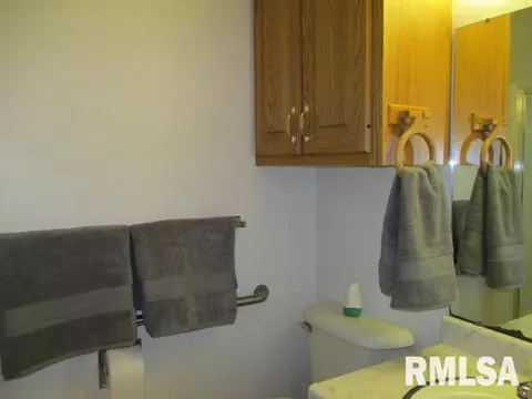 89 Oak Lane Ln, Henry, IL 61537 photo 14
