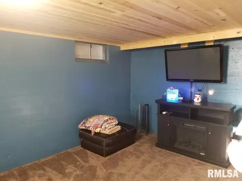 426 E Walnut St, Washburn, IL 61570 photo 27
