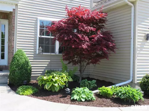 11020 N Crestpointe Ln, Dunlap, IL 61525 photo 3