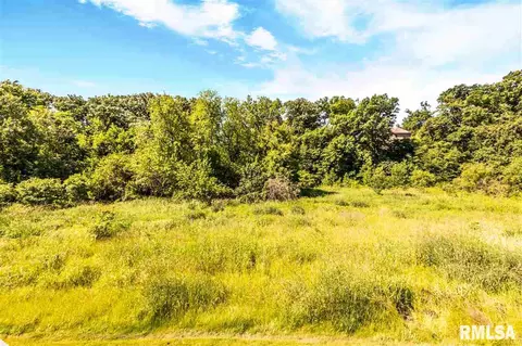 8801 N Westpoint Ct, Edwards, IL 61528 photo 35