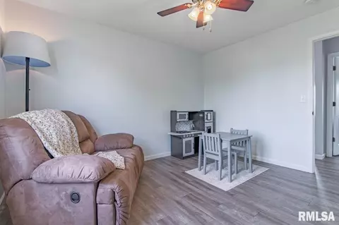 2411 W Marks Pl, Dunlap, IL 61525 photo 31