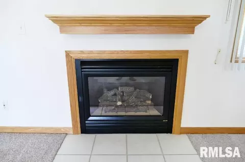 10288 W Lake Camelot Dr, Mapleton, IL 61547 photo 5