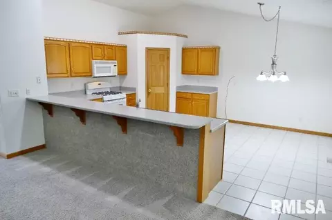 10288 W Lake Camelot Dr, Mapleton, IL 61547 photo 9