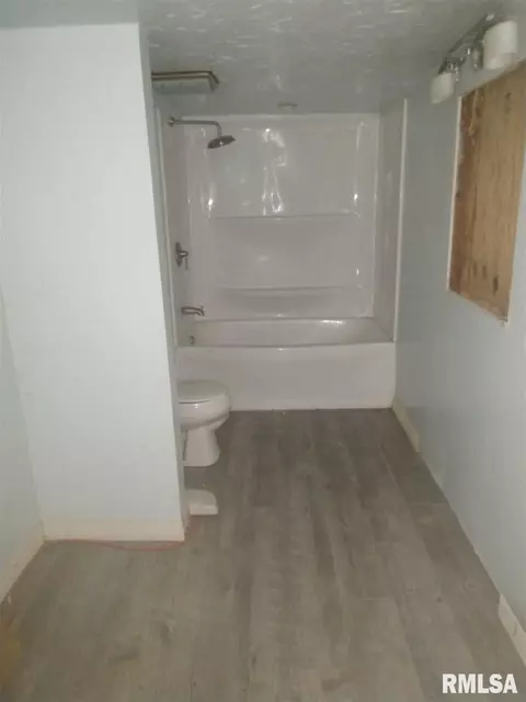 404 W 3rd St, Delavan, IL 61734 photo 23