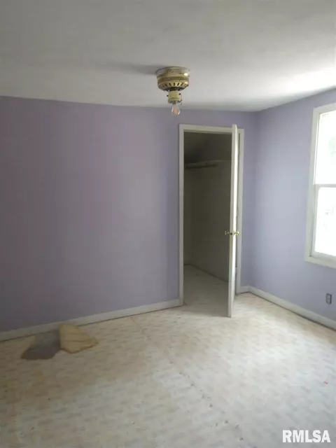 404 W 3rd St, Delavan, IL 61734 photo 19