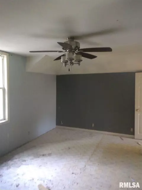 404 W 3rd St, Delavan, IL 61734 photo 16