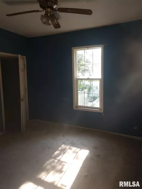 404 W 3rd St, Delavan, IL 61734 photo 17