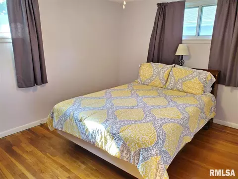 208 Jo Ave, Germantown Hills, IL 61548 photo 14