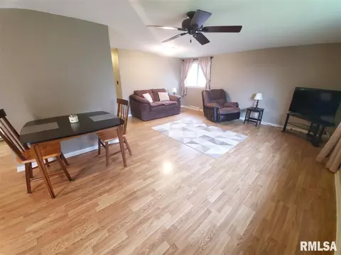 208 Jo Ave, Germantown Hills, IL 61548 photo 8