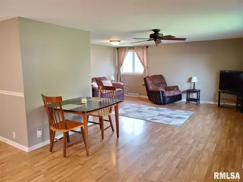 208 Jo Ave, Germantown Hills, IL 61548 photo 3