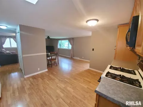 208 Jo Ave, Germantown Hills, IL 61548 photo 7