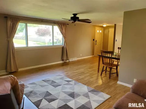 208 Jo Ave, Germantown Hills, IL 61548 photo 13
