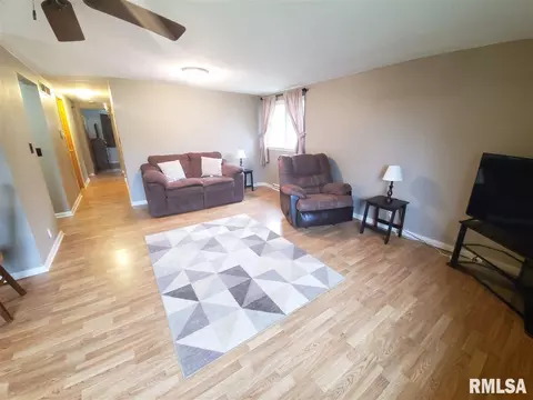 208 Jo Ave, Germantown Hills, IL 61548 photo 11
