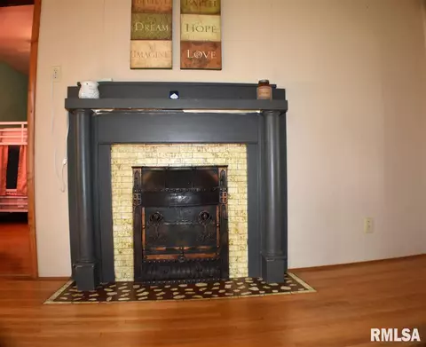 519 E Ash St, Canton, IL 61520 photo 23