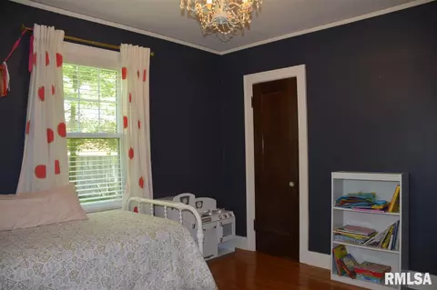 118 N Kickapoo Ter, Peoria, IL 61604 photo 24