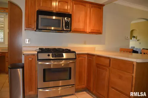 118 N Kickapoo Ter, Peoria, IL 61604 photo 15
