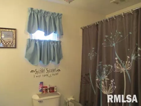 512 Main St, Henry, IL 61537 photo 15