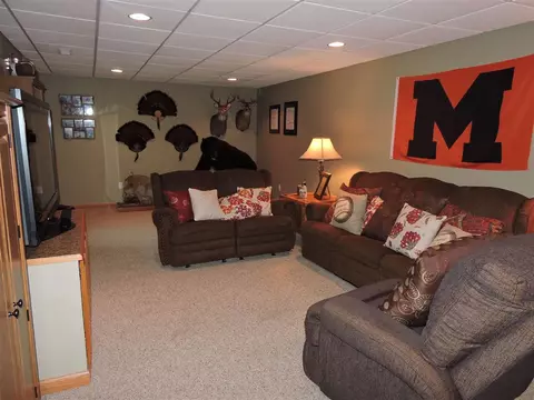 1201 Stacy Ln, Macomb, IL 61455 photo 29