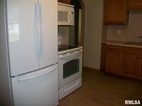 345 Iris Ct, Canton, IL 61520 photo 10