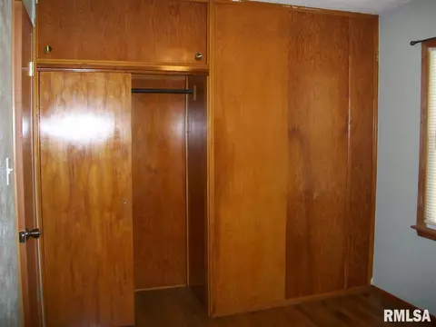 345 Iris Ct, Canton, IL 61520 photo 19